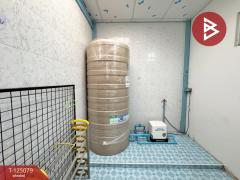 ขาย/เช่า ทาวน์เฮ้าส์ หมู่บ้านพฤกษา 126 เทพารักษ์-กิ่งแก้ว สมุทรปราการ-202510251716581761387418447.jpg