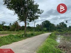 ขายที่ดิน เนื้อที่ 1 งาน 21.4 ตร.วา ตะพง ระยอง-202510251720181761387618406.jpg