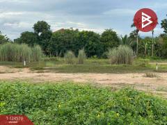 ขายที่ดิน เนื้อที่ 1 งาน 21.4 ตร.วา ตะพง ระยอง-202510251720191761387619998.jpg