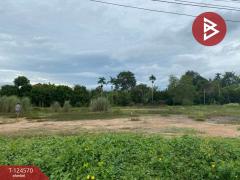 ขายที่ดิน เนื้อที่ 1 งาน 21.4 ตร.วา ตะพง ระยอง-202510251720201761387620518.jpg