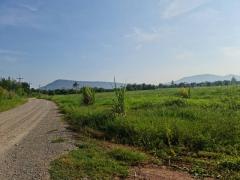 ที่ดินปากช่องน่าลงทุนแบ่งขาย  2ไร่- 8ไร่ โฉนด ต.วังไทร อ.ปากช่อง จ.นครราชสีมา ไร่ละ  2.9 ลบ.สูงจากระดับน้ำทะเลมา น้ำไฟพร้อม