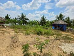 Vายที่ดินลานตากฟ้า 80 ตารางวา ติดถนนคอนกรีต ถมแล้ว พร้มปลูกสร้าง อ.นครชัยศรี จ.นครปฐม-202510252112111761401531747.jpeg