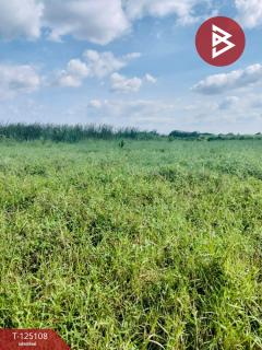 ขายที่ดิน เนื้อที่ 1 ไร่ 21 ตร.วา ลาดกระบัง กรุงเทพมหานคร-202510260916451761445005108.jpg