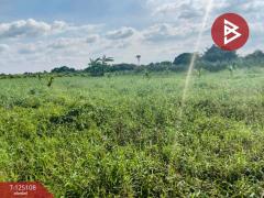 ขายที่ดิน เนื้อที่ 1 ไร่ 21 ตร.วา ลาดกระบัง กรุงเทพมหานคร-202510260916451761445005734.jpg