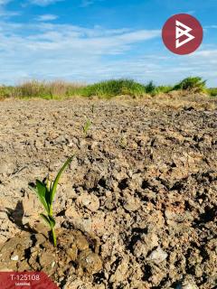 ขายที่ดิน เนื้อที่ 1 ไร่ 21 ตร.วา ลาดกระบัง กรุงเทพมหานคร-202510260916461761445006391.jpg