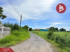 ขายที่ดิน เนื้อที่ 1 ไร่ 21 ตร.วา ลาดกระบัง กรุงเทพมหานคร-202510260916471761445007097.jpg