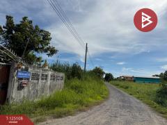 ขายที่ดิน เนื้อที่ 1 ไร่ 21 ตร.วา ลาดกระบัง กรุงเทพมหานคร-202510260916471761445007672.jpg