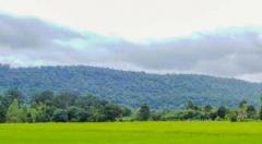 ขายที่ดินแปลงใหม่ วิวเขาสวยที่สุด......ใกล้ถนนลาดยางชุมชนตรงข้ามมีร้านของชำและตลาดตอนเย็น