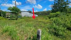 ขายที่ดิน 66 ตร.ว. ใกล้เขาศูนย์ ต.ไม้เรียง อ.ฉวาง นครศรีฯ