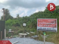ขายที่ดิน-เนื้อที่-6-ไร่-81-ตารางวา-ซอย