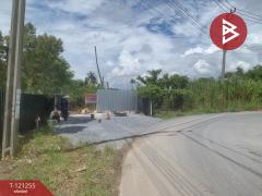 ขายที่ดิน เนื้อที่ 6 ไร่ 81 ตารางวา ซอยโปร่งอารมณ์ บางขุนเทียน กรุงเทพฯ ราคาถูก-202510261104061761451446175.jpg