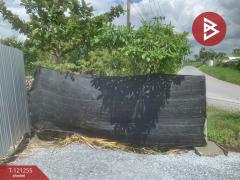 ขายที่ดิน เนื้อที่ 6 ไร่ 81 ตารางวา ซอยโปร่งอารมณ์ บางขุนเทียน กรุงเทพฯ ราคาถูก-202510261104061761451446786.jpg