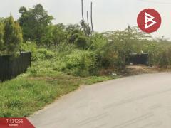 ขายที่ดิน เนื้อที่ 6 ไร่ 81 ตารางวา ซอยโปร่งอารมณ์ บางขุนเทียน กรุงเทพฯ ราคาถูก-202510261104071761451447368.jpg