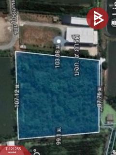 ขายที่ดิน เนื้อที่ 6 ไร่ 81 ตารางวา ซอยโปร่งอารมณ์ บางขุนเทียน กรุงเทพฯ ราคาถูก-202510261104081761451448963.jpg