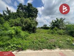 ขายที่ดิน-2-งาน-ต.สระกะเทียม-อ.เมืองนค