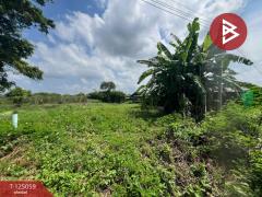 ขายที่ดิน 2 งาน ต.สระกะเทียม อ.เมืองนครปฐม จ.นครปฐม-202510261112461761451966761.jpg