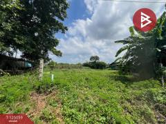 ขายที่ดิน 2 งาน ต.สระกะเทียม อ.เมืองนครปฐม จ.นครปฐม-202510261112471761451967516.jpg