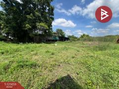 ขายที่ดิน 2 งาน ต.สระกะเทียม อ.เมืองนครปฐม จ.นครปฐม-202510261112481761451968118.jpg