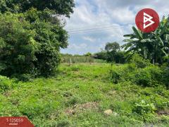 ขายที่ดิน 2 งาน ต.สระกะเทียม อ.เมืองนครปฐม จ.นครปฐม-202510261112481761451968669.jpg