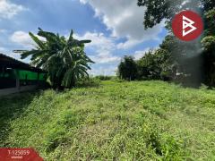 ขายที่ดิน 2 งาน ต.สระกะเทียม อ.เมืองนครปฐม จ.นครปฐม-202510261112491761451969447.jpg