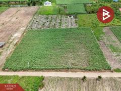 ขายที่ดิน เนื้อที่ 7 ไร่ ถ.แม่น้ำแม่กลอง ด่านมะขามเตี้ย กาญจนบุรี-202510261118261761452306037.jpg