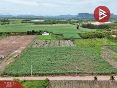 ขายที่ดิน เนื้อที่ 7 ไร่ ถ.แม่น้ำแม่กลอง ด่านมะขามเตี้ย กาญจนบุรี-202510261118261761452306726.jpg