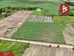 ขายที่ดิน เนื้อที่ 7 ไร่ ถ.แม่น้ำแม่กลอง ด่านมะขามเตี้ย กาญจนบุรี-202510261118271761452307337.jpg