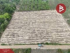 ขายที่ดิน เนื้อที่ 7 ไร่ ถ.แม่น้ำแม่กลอง ด่านมะขามเตี้ย กาญจนบุรี-202510261118281761452308500.jpg