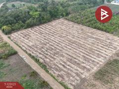 ขายที่ดิน เนื้อที่ 7 ไร่ ถ.แม่น้ำแม่กลอง ด่านมะขามเตี้ย กาญจนบุรี-202510261118291761452309049.jpg