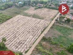 ขายที่ดิน เนื้อที่ 7 ไร่ ถ.แม่น้ำแม่กลอง ด่านมะขามเตี้ย กาญจนบุรี-202510261118291761452309611.jpg