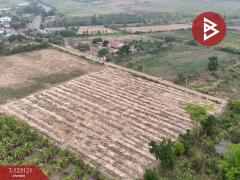 ขายที่ดิน เนื้อที่ 7 ไร่ ถ.แม่น้ำแม่กลอง ด่านมะขามเตี้ย กาญจนบุรี-202510261118301761452310178.jpg