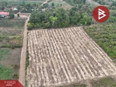 ขายที่ดิน เนื้อที่ 7 ไร่ ถ.แม่น้ำแม่กลอง ด่านมะขามเตี้ย กาญจนบุรี-202510261118301761452310733.jpg