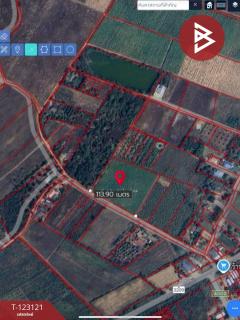 ขายที่ดิน เนื้อที่ 7 ไร่ ถ.แม่น้ำแม่กลอง ด่านมะขามเตี้ย กาญจนบุรี-202510261118321761452312515.jpg