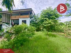 ขายด่วนที่ดินพร้อมสิ่งปลูกสร้าง เนื้อที่ 1 ไร่ 54 ตารางวา ต.ย่านซื่อ อ่างทอง-202510261137491761453469981.jpg