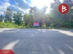 ขายที่ดิน เนื้อที่ 5 ไร่ 2 งาน 20.8 ตารางวา อ.หนองสองห้อง ขอนแก่น ติดถนนใหญ่