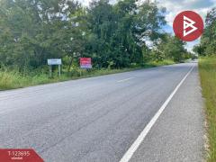 ขายที่ดิน เนื้อที่ 5 ไร่ 2 งาน 20.8 ตารางวา อ.หนองสองห้อง ขอนแก่น ติดถนนใหญ่-202510261155571761454557815.jpg