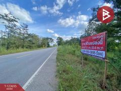 ขายที่ดิน เนื้อที่ 5 ไร่ 2 งาน 20.8 ตารางวา อ.หนองสองห้อง ขอนแก่น ติดถนนใหญ่-202510261155591761454559043.jpg