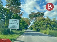 ขายที่ดิน เนื้อที่ 5 ไร่ 2 งาน 20.8 ตารางวา อ.หนองสองห้อง ขอนแก่น ติดถนนใหญ่-202510261156031761454563148.jpg