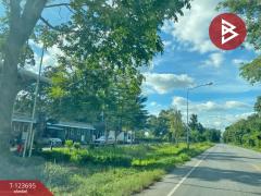 ขายที่ดิน เนื้อที่ 5 ไร่ 2 งาน 20.8 ตารางวา อ.หนองสองห้อง ขอนแก่น ติดถนนใหญ่-202510261156041761454564262.jpg