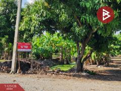 ขายที่ดินสวนมะม่วง เนื้อที่ 2 ไร่ 2 งาน 3 ตารางวา โครงการบ้านสวนโพธิ์ทอง สุพรรณบุรี
