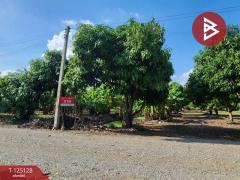 ขายที่ดินสวนมะม่วง เนื้อที่ 2 ไร่ 2 งาน 3 ตารางวา โครงการบ้านสวนโพธิ์ทอง สุพรรณบุรี-202510261206171761455177180.jpg