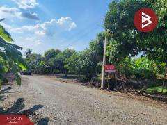 ขายที่ดินสวนมะม่วง เนื้อที่ 2 ไร่ 2 งาน 3 ตารางวา โครงการบ้านสวนโพธิ์ทอง สุพรรณบุรี-202510261206171761455177768.jpg