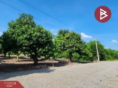 ขายที่ดินสวนมะม่วง เนื้อที่ 2 ไร่ 2 งาน 3 ตารางวา โครงการบ้านสวนโพธิ์ทอง สุพรรณบุรี-202510261206181761455178347.jpg