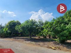 ขายที่ดินสวนมะม่วง เนื้อที่ 2 ไร่ 2 งาน 3 ตารางวา โครงการบ้านสวนโพธิ์ทอง สุพรรณบุรี-202510261206181761455178909.jpg