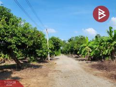 ขายที่ดินสวนมะม่วง เนื้อที่ 2 ไร่ 2 งาน 3 ตารางวา โครงการบ้านสวนโพธิ์ทอง สุพรรณบุรี-202510261206201761455180945.jpg