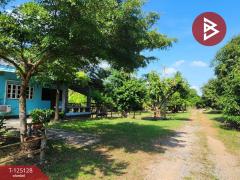 ขายที่ดินสวนมะม่วง เนื้อที่ 2 ไร่ 2 งาน 3 ตารางวา โครงการบ้านสวนโพธิ์ทอง สุพรรณบุรี-202510261206211761455181498.jpg