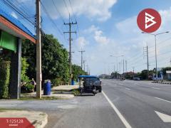 ขายที่ดินสวนมะม่วง เนื้อที่ 2 ไร่ 2 งาน 3 ตารางวา โครงการบ้านสวนโพธิ์ทอง สุพรรณบุรี-202510261206231761455183173.jpg