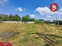 ขายที่ดิน เนื้อที่ 1 ไร่ 72 ตร.วา บ้านบึง ชลบุรี-202510261208231761455303681.jpg