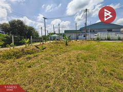 ขายที่ดิน เนื้อที่ 1 ไร่ 72 ตร.วา บ้านบึง ชลบุรี-202510261208261761455306042.jpg