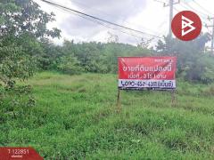 ขายที่ดินถมแล้ว เนื้อที่ 3 ไร่ 1 งาน ติดถนนสายเอเชีย พยุหะคีรี นครสวรรค์-202510261308271761458907187.jpg